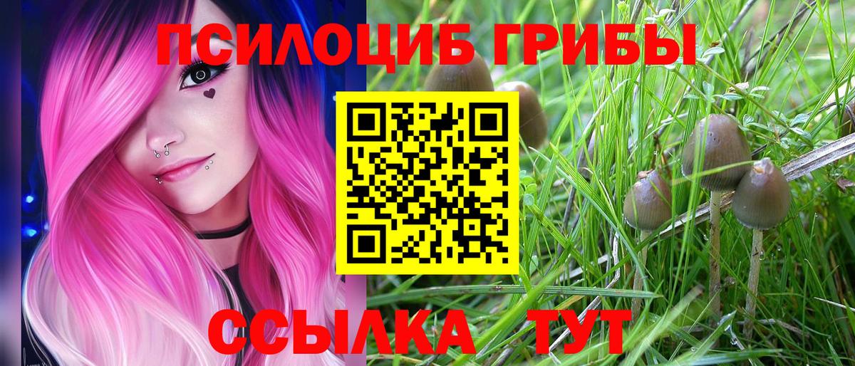 Южноуральск  Псилоцибиновые грибы MAGIC MUSHROOMS  Вход с VPN  Псилоцибиновые грибы MAGIC MUSHROOMS 